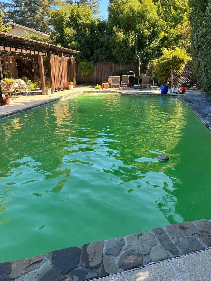The same pool before treatment, with green and cloudy water